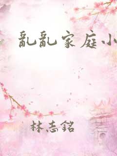 乱乱家庭小说