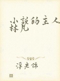 小说的主人公叫林凡