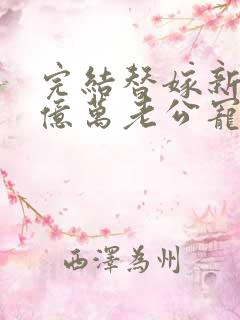 完结替嫁新娘 亿万老公宠上天