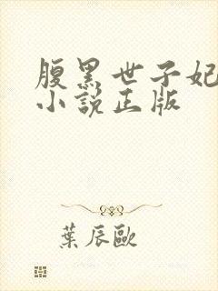 腹黑世子妃日常小说正版