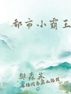 都市小霸王