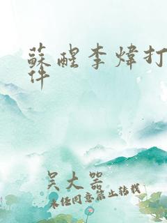 苏醒李炜打架事件