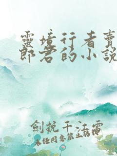 灵境行者卖报小郎君的小说