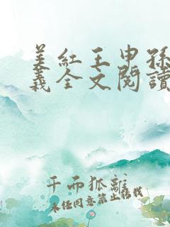 美红王申孙倩高义全文阅读