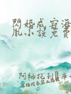 闪婚成宠海彤战胤小说免费阅读