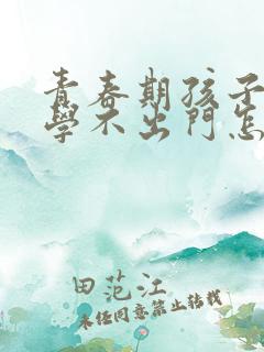 青春期孩子不上学不出门怎么办