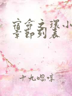 宿命之环小说新章节列表