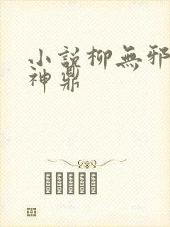 小说柳无邪吞天神鼎