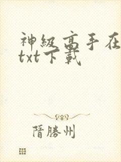 神级高手在都市txt下载