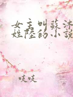 女主叫苏沐男主姓陆的小说