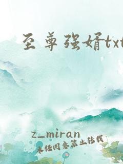 至尊强婿txt