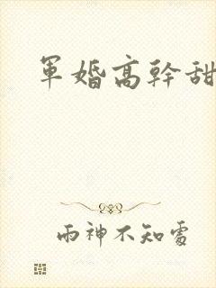 军婚高干甜宠文