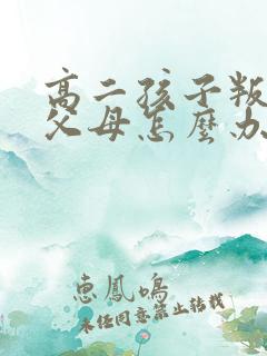 高二孩子叛逆骂父母怎么办