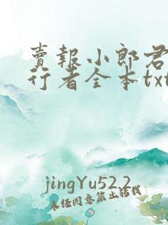 卖报小郎君灵境行者全本txt下载