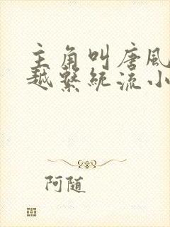 主角叫唐风的穿越系统流小说
