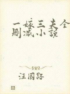 一嫁三夫全文无删减小说