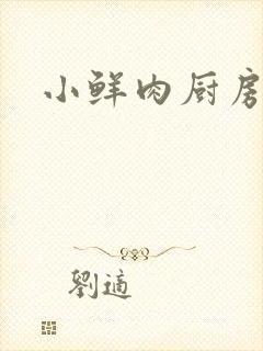 小鲜肉厨房