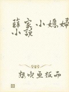 薛家小媳妇同类小说