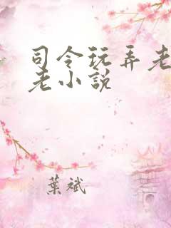 司令玩弄老头恋老小说