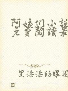 阿姨们小说全文免费阅读最新章节