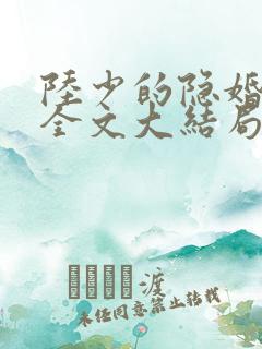 陆少的隐婚罪妻全文大结局