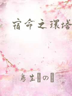 宿命之环塔罗会
