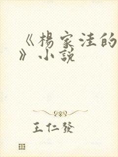 《杨家洼的情事》小说