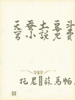 天蚕土豆斗破苍穹小说免费阅读