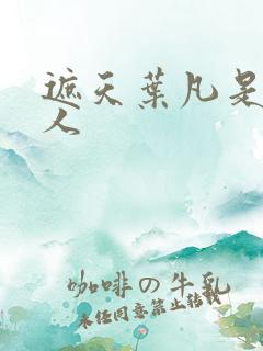 遮天叶凡是哪里人