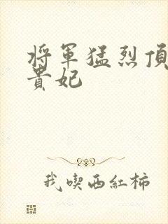 将军猛烈顶弄h贵妃