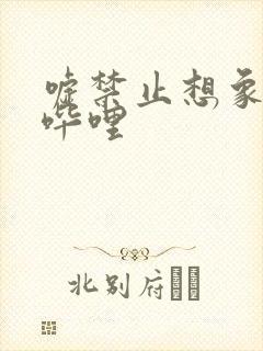 嘘禁止想象哔哩哔哩