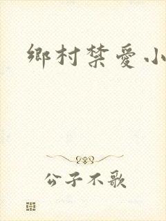 乡村禁爱小说