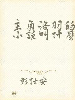 主角洛羽的玄幻小说叫什么名
