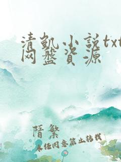 清凯小说txt网盘资源