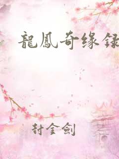 龙凤奇缘录