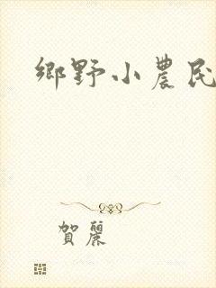 乡野小农民小说