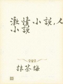 激情小说,人妻小说