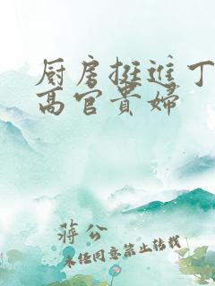 厨房挺进丁字裤高官贵妇
