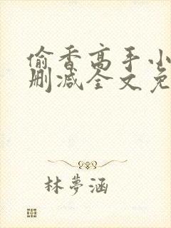 偷香高手小说无删减全文免费