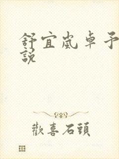 舒宜岚卓予淮小说