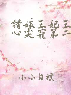 错嫁王妃王爷的心尖宠第二季