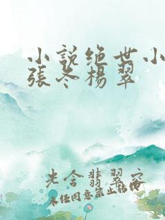小说绝世小医仙张冬杨翠