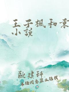 王子枫和袁雯洁小说