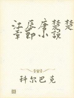 江辰唐楚楚最新章节小说