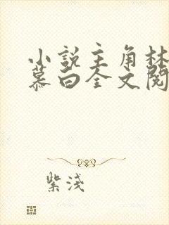 小说主角林枫苏慕白全文阅读免费