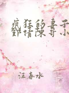 疯狂的妻子林瑶邓倩陈哥小说