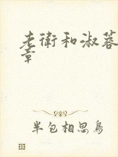 老卫和淑蓉第9章