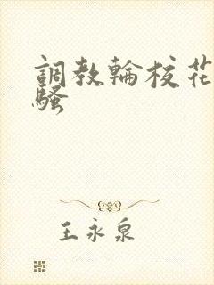 调教轮校花小说骚