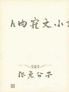 h肉宠文小说