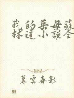 我的岳母苏沛真林道小说全文